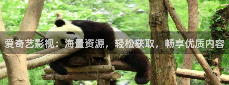 草草浮力影院最新网址：爱奇艺影视：海量资源，轻松获取，畅享优质内容