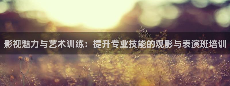 浮力影院在线观看免费播放电视剧：影视魅力与艺术训练：提升专业技能的观影与表演班培训