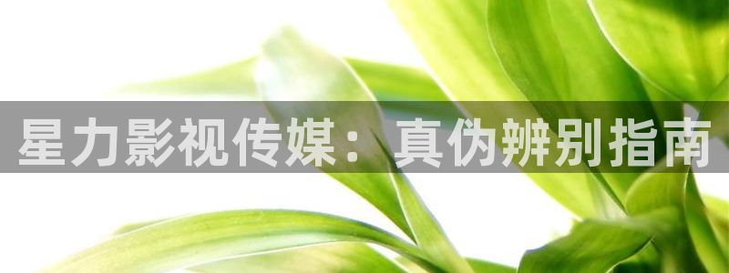 最新网址浮力影院：星力影视传媒：真伪辨别指南