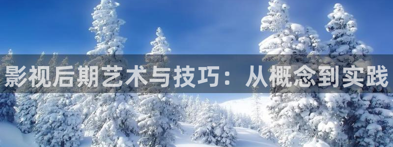 最新浮力影院地址公告：影视后期艺术与技巧：从概念到实践